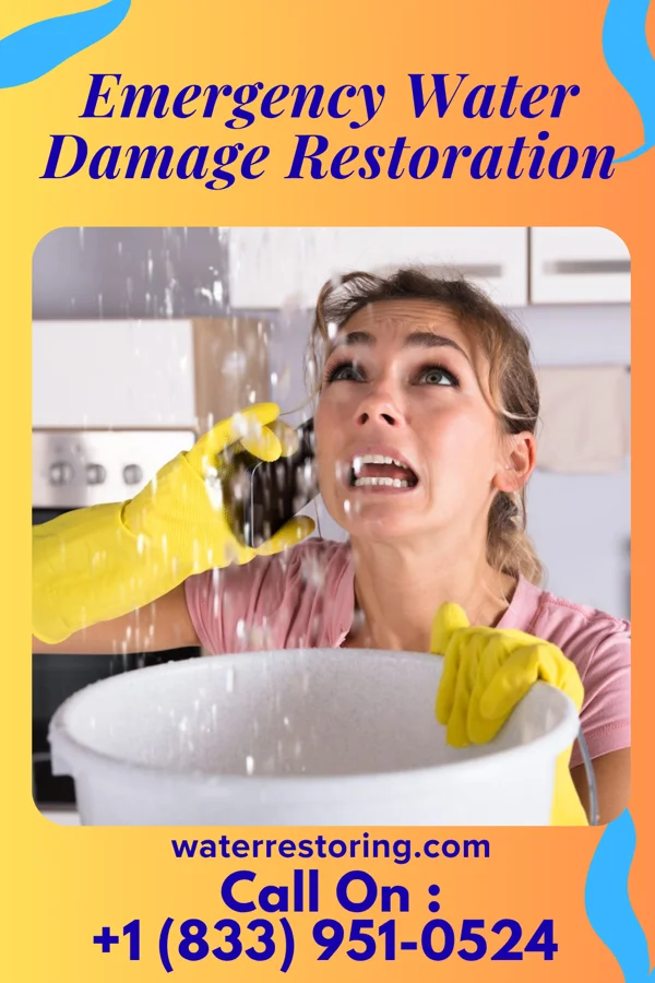 Emergency Water Damage Restoration in Abbeville, GA
